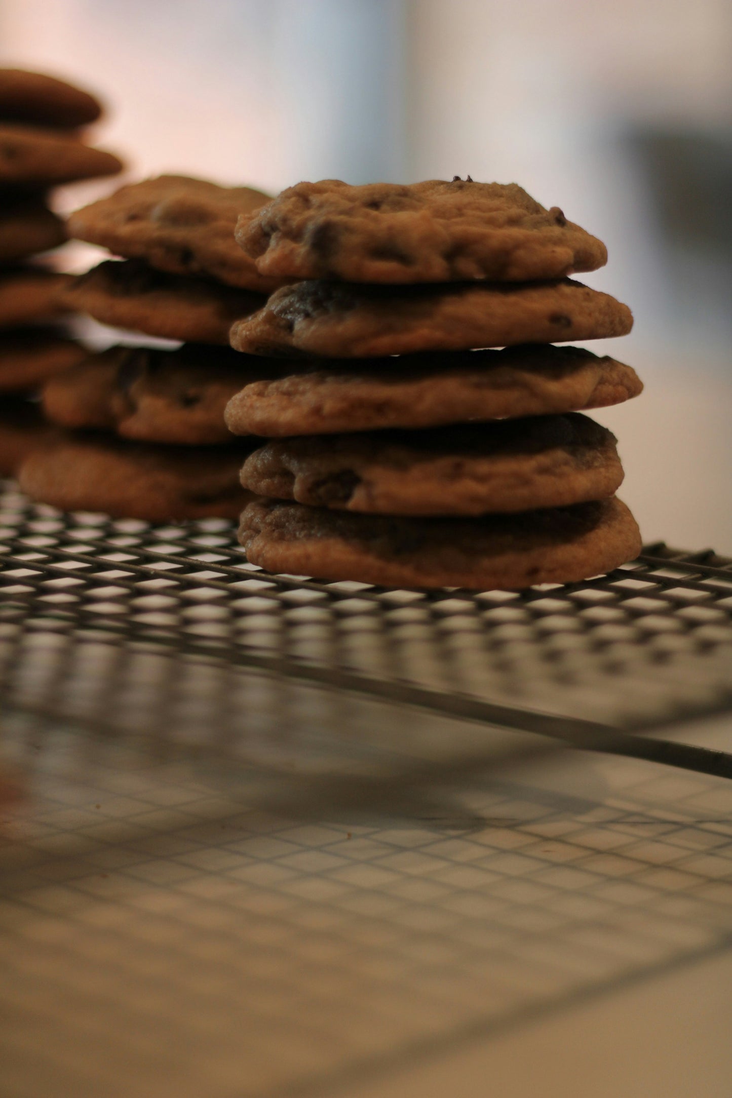 Cookie Shelf-Life & Storage Systems